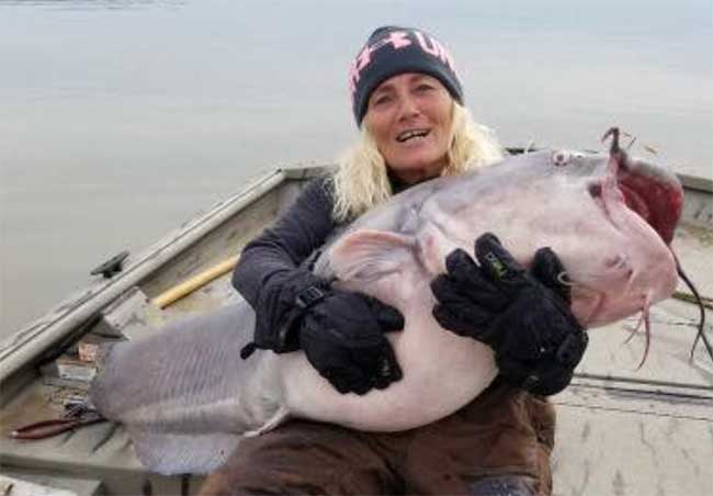 Cá nheo lục nặng 40kg cắn câu ngư dân Mỹ