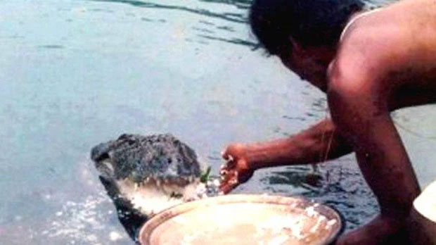 Cá sấu khổng lồ 70 năm nương nhờ cửa Phật, chỉ thích ăn cơm trắng với đồ chay