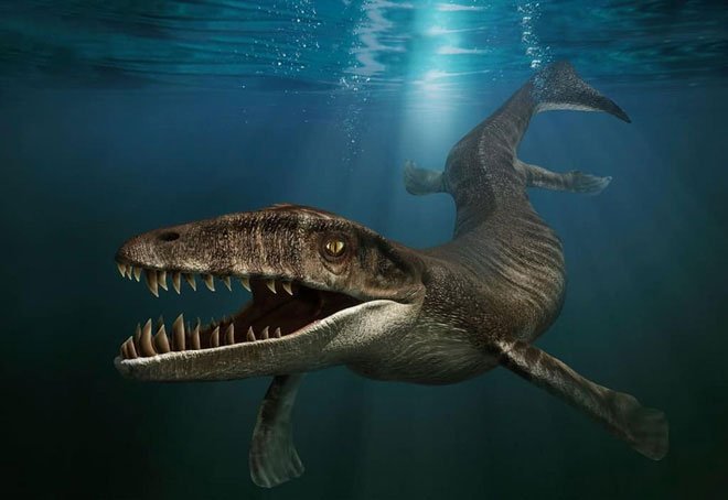 Cá sấu tiền sử dưới đại dương chỉ cần một cú đớp cũng có thể làm thủng bụng ngư long