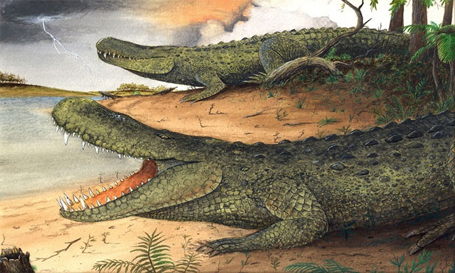 Cá sấu tiền sử nặng 3 tấn và dài bằng xe buýt