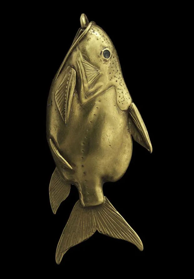 Cá trê bơi ngửa - Loài cá độc đáo tới mức được người Ai Cập dùng hình ảnh làm bùa may mắn