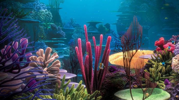 Cá và các động vật biển có thể chết đuối không?
