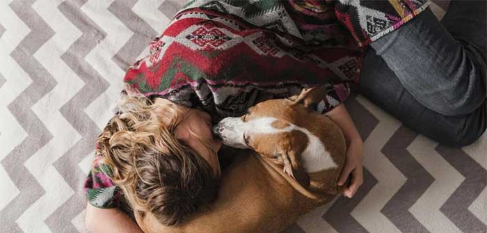 Các chuyên gia cho biết: Chó có thể ngửi mùi stress của chủ