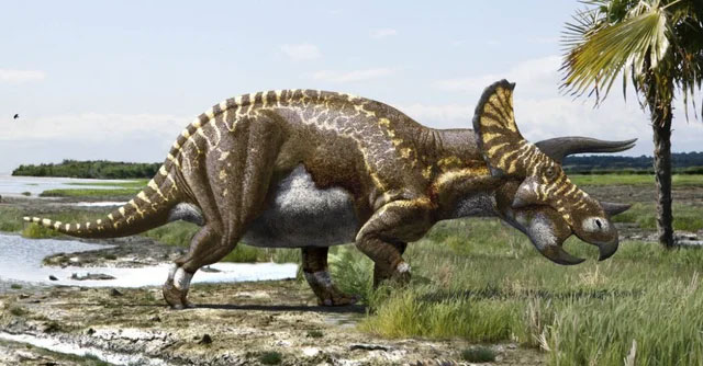 Các manh mối tiết lộ tốc độ trao đổi chất của các loài khủng long: Tyrannosaurus rex máu nóng, Stegosaurus máu lạnh!