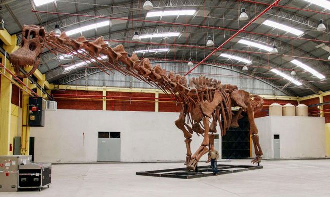 Các nhà cổ sinh vật học tính trọng lượng của khủng long như thế nào?