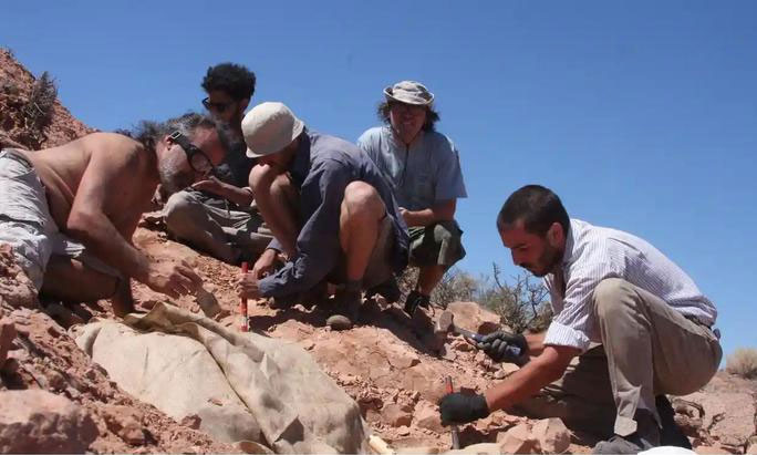 Các nhà khảo cổ đào được quái vật dài 1,5m không tay, mặc áo giáp ở Nam Mỹ