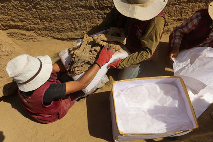 Các nhà khảo cổ ở Peru tìm thấy xác ướp vị thành niên hơn 1000 năm tuổi