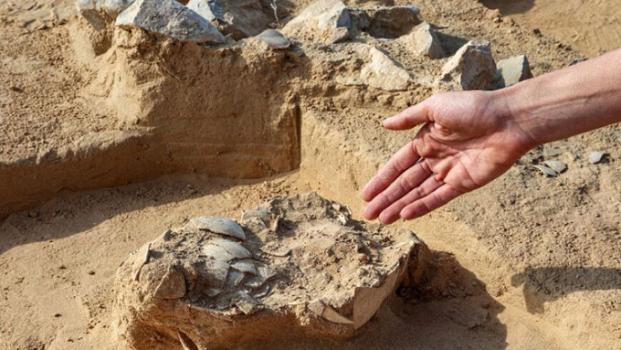 Các nhà khảo cổ tìm thấy trứng đà điểu hơn 4.000 năm trên sa mạc
