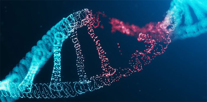 Các nhà khoa học công bố bộ gene người hoàn chỉnh đầu tiên