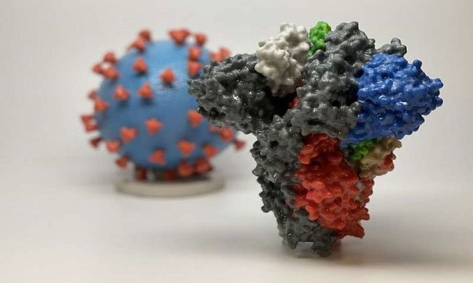 Các nhà khoa học nghiên cứu dùng virus nCoV giả để tiêu diệt virus thật