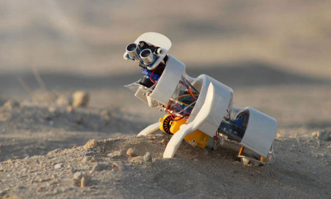 Các nhà khoa học phát triển robot tự động gieo hạt trên sa mạc