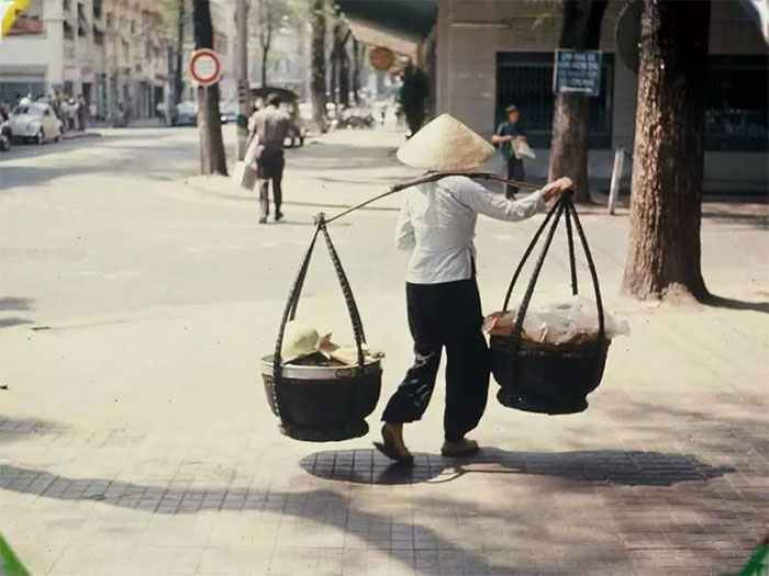 Các nhà khoa học quốc tế khám phá bí ẩn đòn gánh tre của người Việt