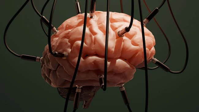 Các nhà khoa học sắp tạo trí tuệ thông minh mới từ tế bào não người