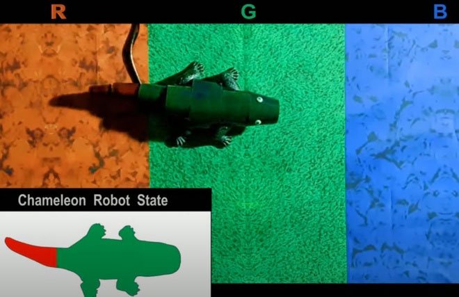 Các nhà khoa học tạo ra robot tắc kè hoa, đổi màu theo thời gian thực