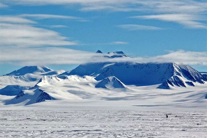 Các nhà khoa học thành công trong việc lưu trữ mẫu băng cổ xưa ở Bắc Cực
