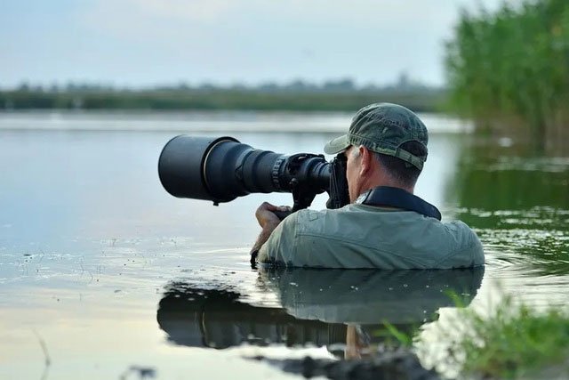 Các nhà làm phim giữ an toàn thế nào khi ghi hình động vật hoang dã? (Phần 2)
