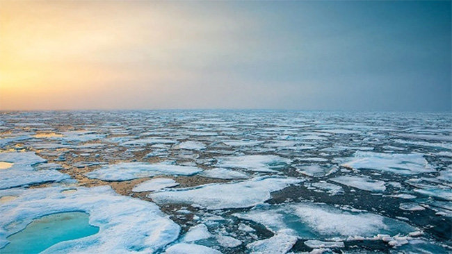 Các nhà nghiên cứu nỗ lực tìm cách đóng băng Bắc Cực