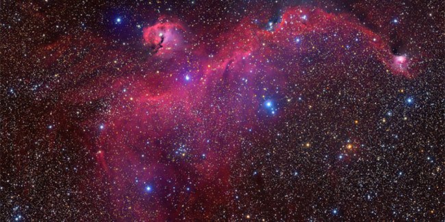 Các nhà thiên văn học chụp được ảnh chòm sao hình chim hải âu