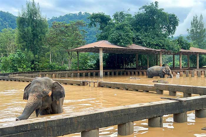 Các nước Đông Nam Á hứng chịu mưa lớn bất thường