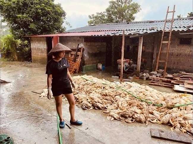 Cảnh báo nguy cơ dịch bệnh bùng phát sau mưa lũ