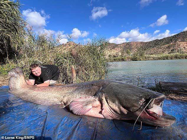 Cậu bé 11 tuổi câu được cá trê khổng lồ dài gần 3 mét