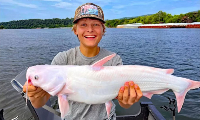 Cậu bé 15 tuổi câu được cá nheo lục trắng quý hiếm