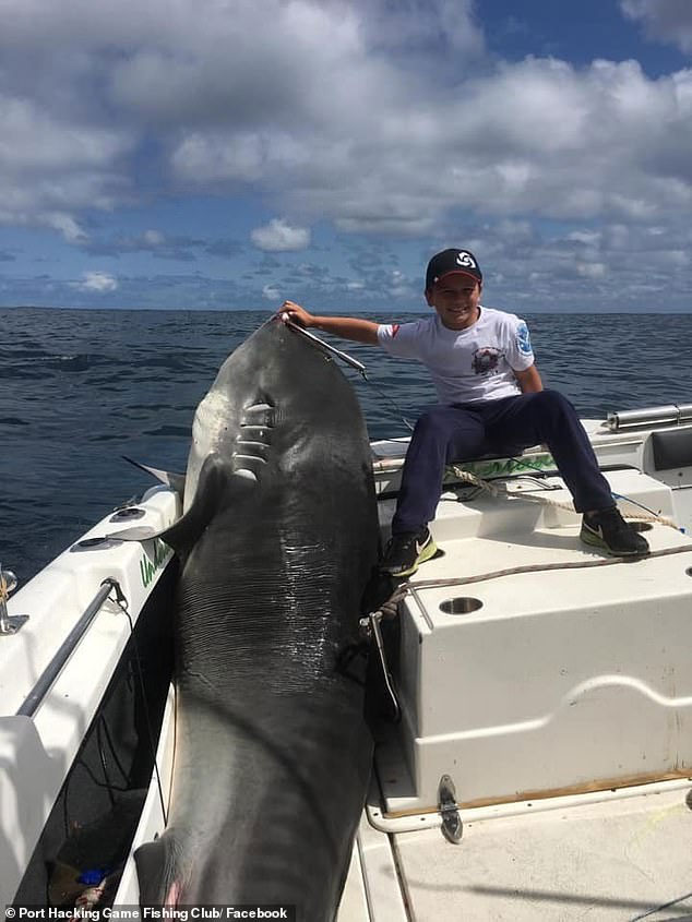 Cậu bé 8 tuổi câu được cá mập hổ “khủng” 300kg, phá kỷ lục thế giới suốt 22 năm