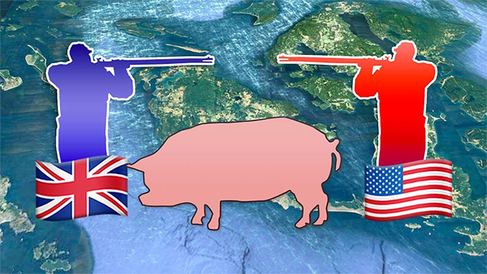 Câu chuyện về  Pig War: Con lợn dẫn đến nguy cơ gây đại chiến giữa 2 cường quốc