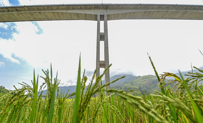 Cầu có trụ cao nhất Việt Nam trước ngày thông xe