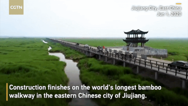 Cầu tre dài nhất thế giới, làm từ 66.000 tấm ván tre