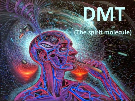 Chất thức thần DMT là gì? Nó có thực sự đem lại các lợi ích về tâm linh như nhiều người nghĩ?