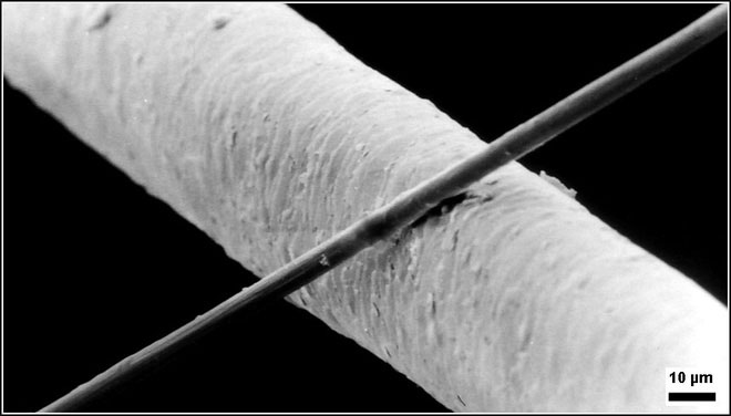 Chế tạo được máy gia tốc hạt tí hon: chỉ nhỏ bằng nửa sợi tóc, đặt vừa trên một con chip