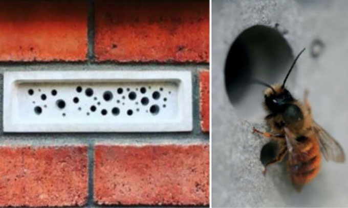 Chế tạo gạch lỗ biến các tòa nhà thành nơi ở cho ong
