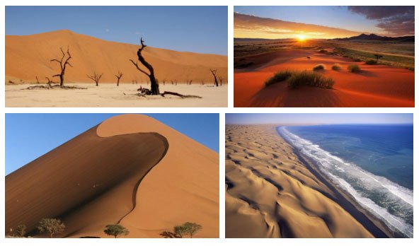 Chiến thuật sinh tồn tuyệt vời của loài bọ sống tại một trong những sa mạc khô nhất thế giới