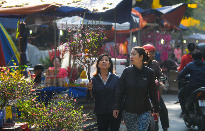 Chợ hoa Hà Nội chỉ họp một lần trong năm vào dịp Tết