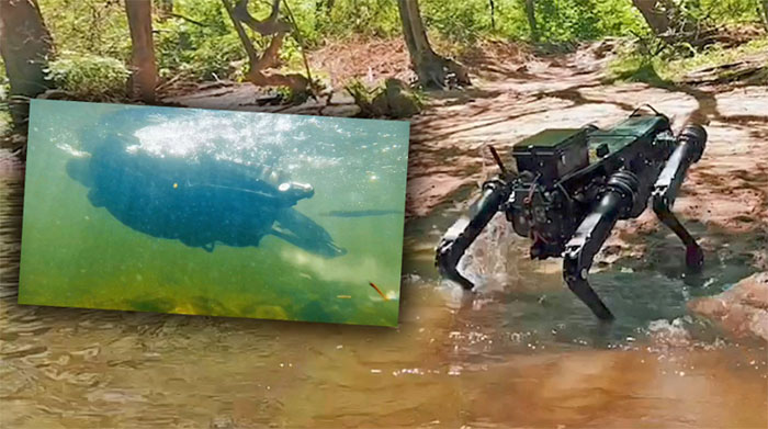 Chó robot thế hệ mới có thể bơi ào ào dưới nước