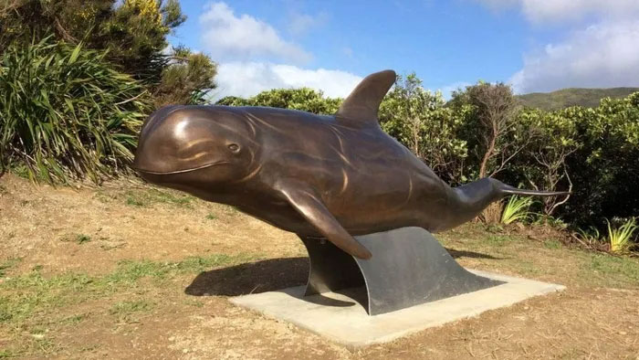Chú cá heo dẫn đường tàu thuyền qua eo biển New Zealand trong 24 năm