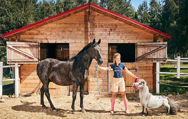 Chú ngựa nhỏ nhất thế giới hiện sống ở đâu, cao bao nhiêu?
