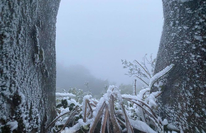 Chùm ảnh: Băng tuyết phủ trắng đỉnh Mẫu Sơn