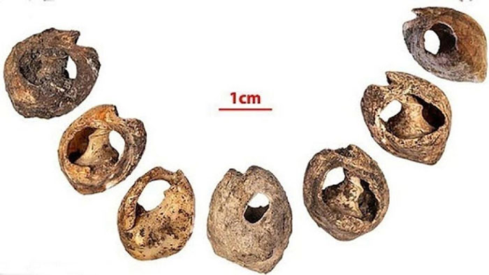 Chuỗi hạt trang sức lâu đời nhất thế giới có tuổi thọ lên đến 150.000 năm tuổi