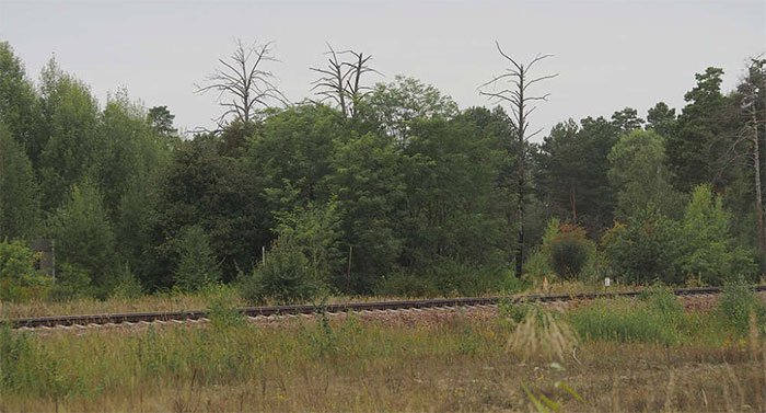 Chuyện gì sẽ xảy ra nếu lúc này bạn đến sống tại Vùng đất chết Chernobyl?