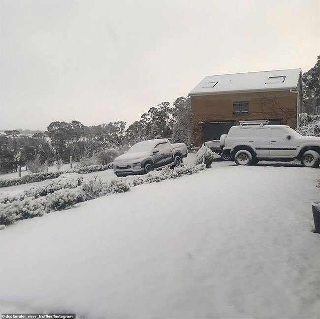 Chuyện hi hữu: Tuyết rơi tháng 8 lần đầu tiên trong 15 năm ở Australia