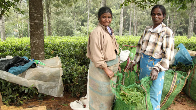 Chuyến tàu chạy chậm nhất Ấn Độ nhưng sao nhiều du khách vẫn bỏ tiền để trải nghiệm?