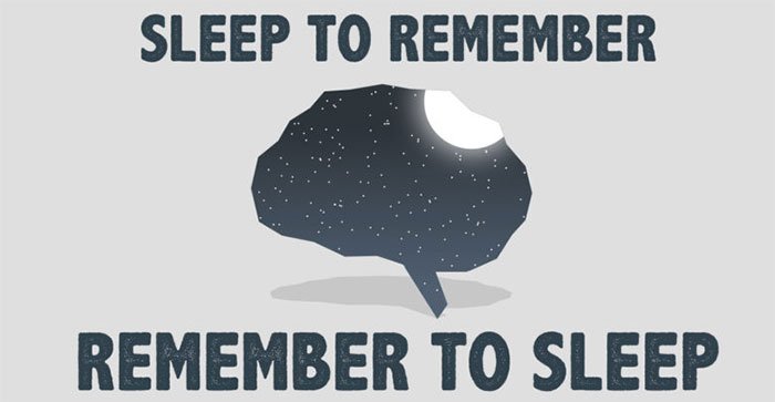 Có bao giờ bạn nghĩ: Ngủ là lãng phí?