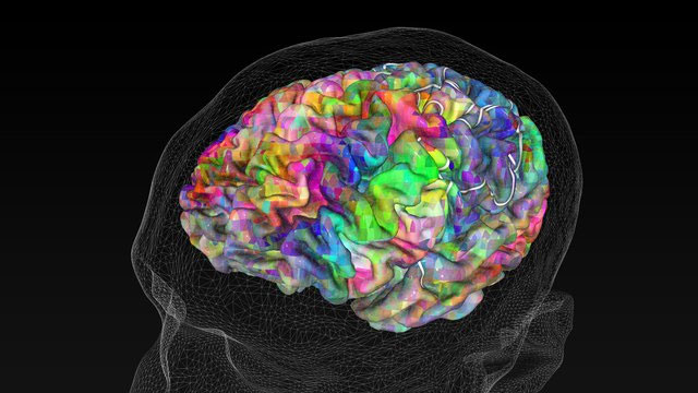 Có đúng là đến 25 tuổi não bộ con người mới phát triển toàn diện?