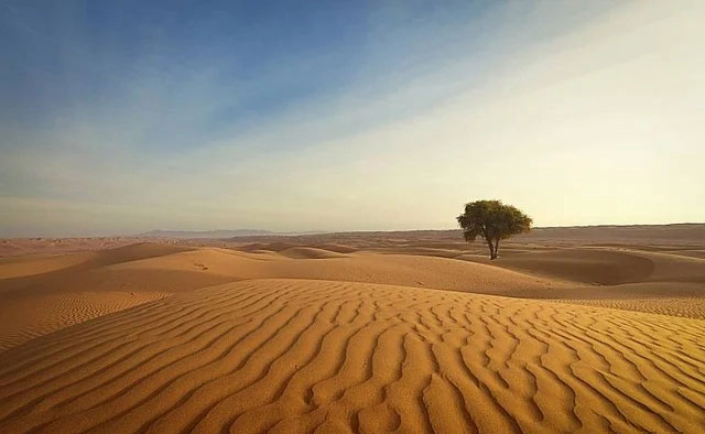 Có gì ở sa mạc đắt nhất Trung Quốc, muốn đổi 1kg gạo lấy 1kg cát cũng không được?