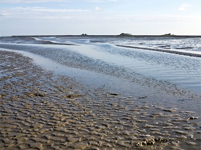 Có gì thú vị tại bãi biển Wadden biến mất 2 lần 1 ngày ở Hà Lan?