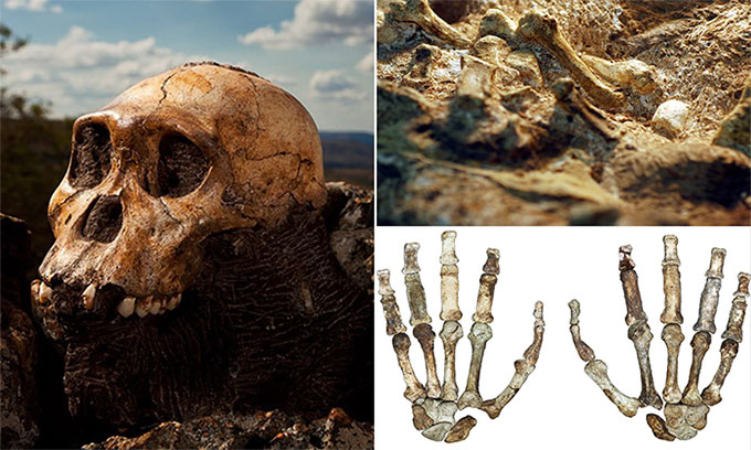 Có một khoảng trống 130.000 năm trong lịch sử tiến hóa của loài người, vậy trong thời kỳ này đã xảy ra chuyện gì?