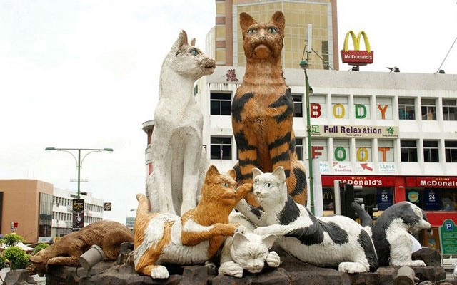Có một thành phố nơi loài mèo được xuất hiện ở khắp mọi nơi