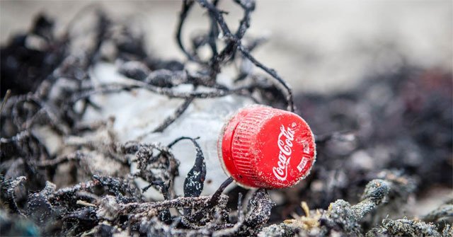 Coca-Cola, PepsiCo và Nestlé tạo ra rác nhiều thải nhựa nhất hành tinh, 3 năm liên tục